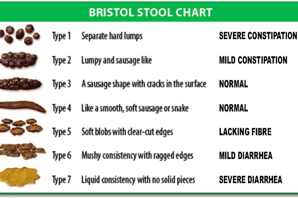 Bristol Stool Chart