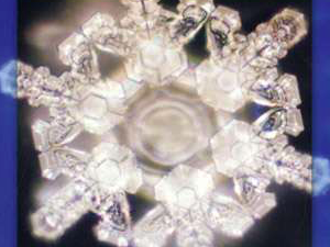 Masaru Emoto